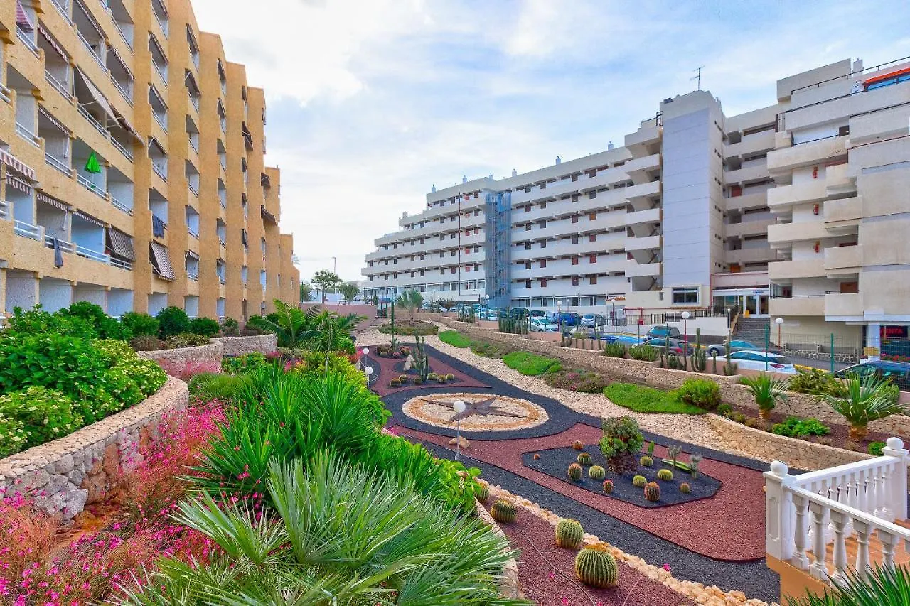 Cosy Studio In Las Americas プラヤ・デ・ラス・アメリカス スペイン